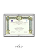 Linea Laurea